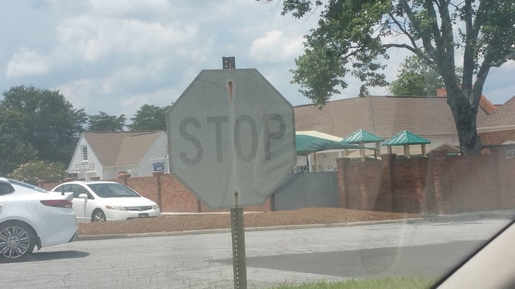 Ảnh: BrightSide Ảnh: BrightSide