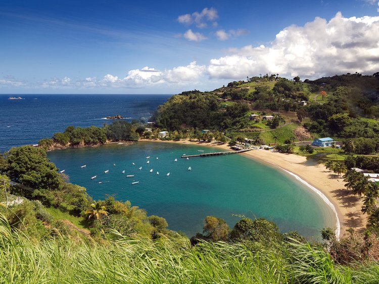 Ảnh: Business Insider