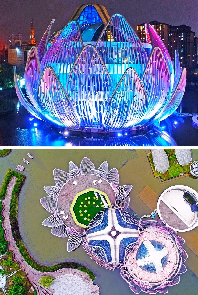 Ảnh: BrightSide Ảnh: BrightSide