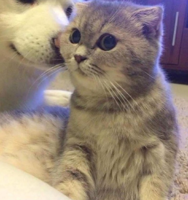 Ảnh: BrightSide Ảnh: BrightSide