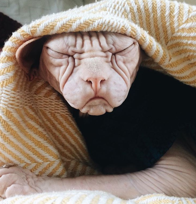 Ảnh: BrightSide Ảnh: BrightSide