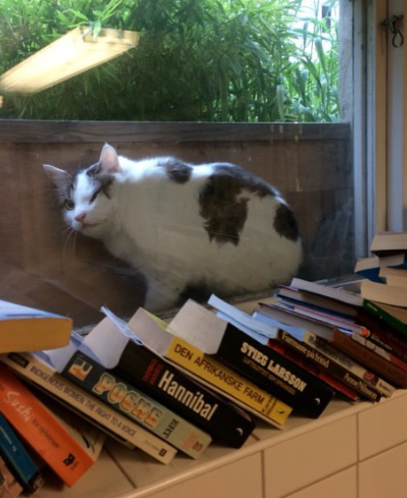 Ảnh: BrightSide Ảnh: BrightSide