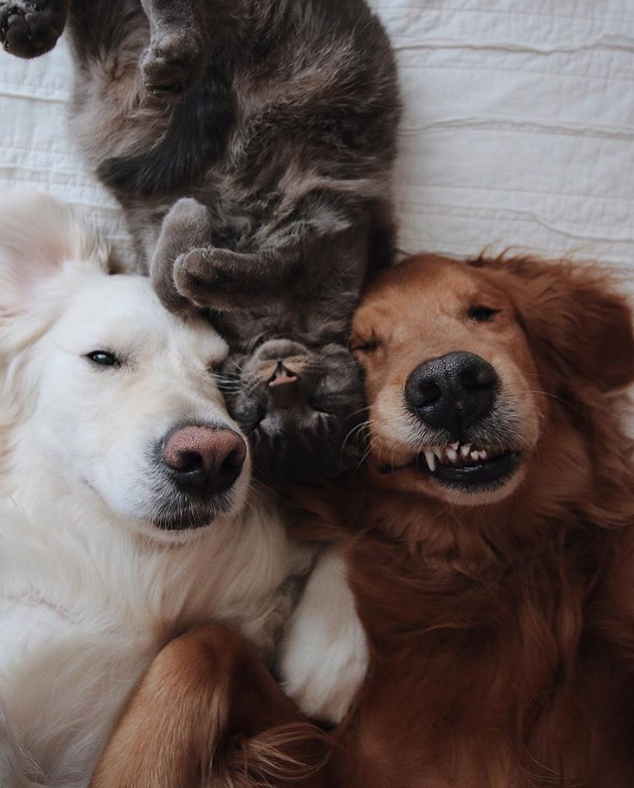 Ảnh: BrightSide Ảnh: BrightSide