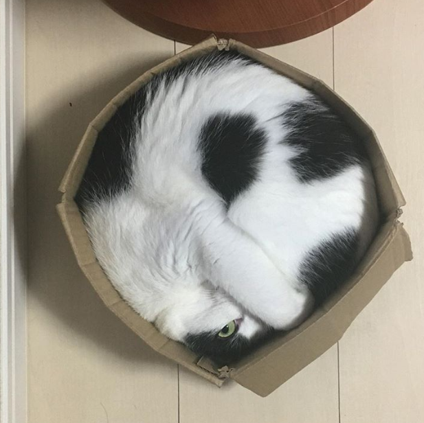 Ảnh: BrightSide Ảnh: BrightSide