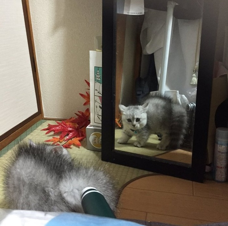 Ảnh: BrightSide Ảnh: BrightSide