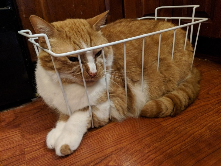 Ảnh: BrightSide Ảnh: BrightSide