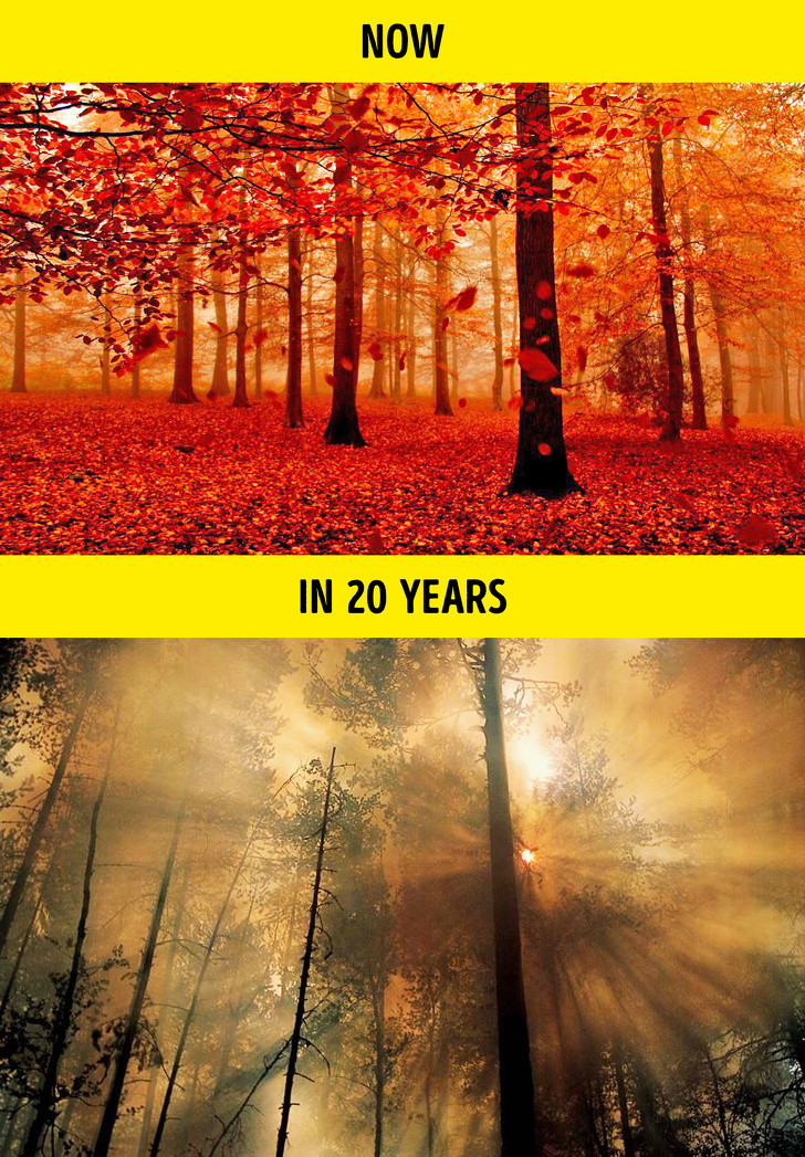 Ảnh: BrightSide Ảnh: BrightSide