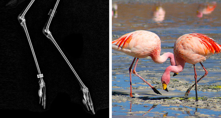 Ảnh: BrightSide Ảnh: BrightSide