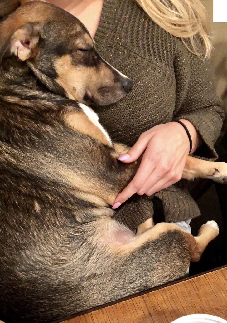 Ảnh: BrightSide Ảnh: BrightSide