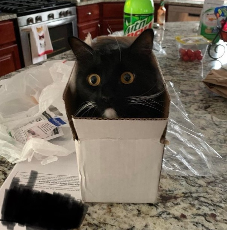 Ảnh: BrightSide Ảnh: BrightSide