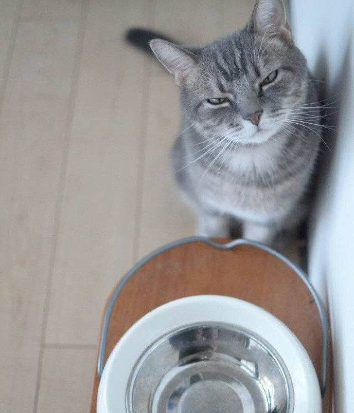 Ảnh: BrightSide Ảnh: BrightSide