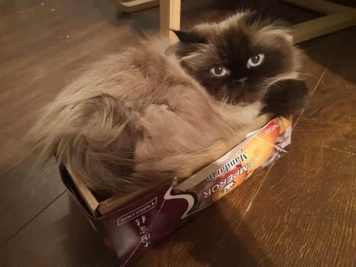 Ảnh: BrightSide Ảnh: BrightSide