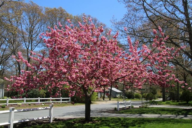 Ảnh: BrightSide Ảnh: BrightSide