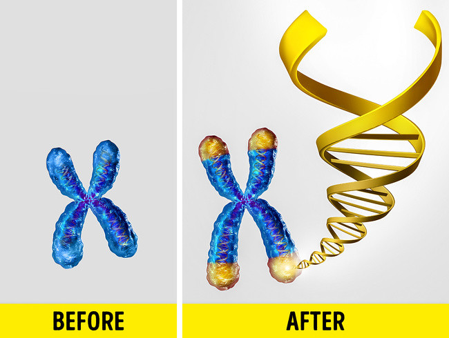 Ảnh: BrightSide Ảnh: BrightSide