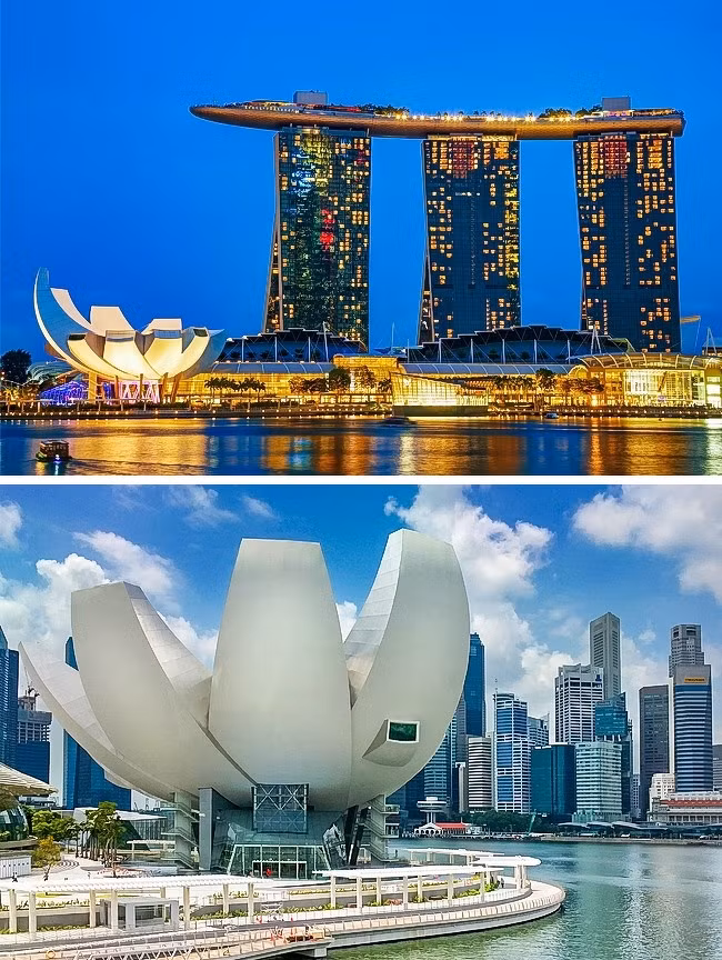 Ảnh: BrightSide Ảnh: BrightSide