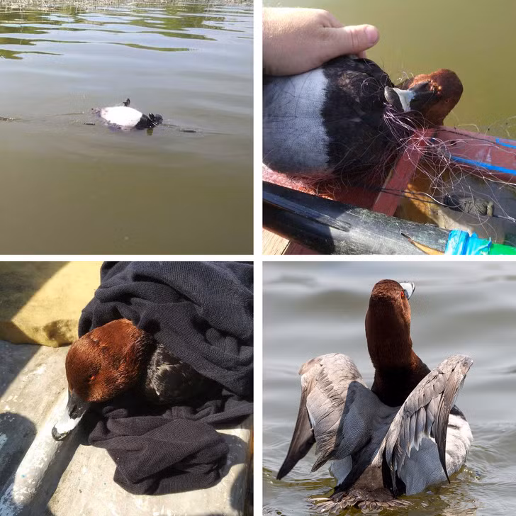 Ảnh: BrightSide Ảnh: BrightSide