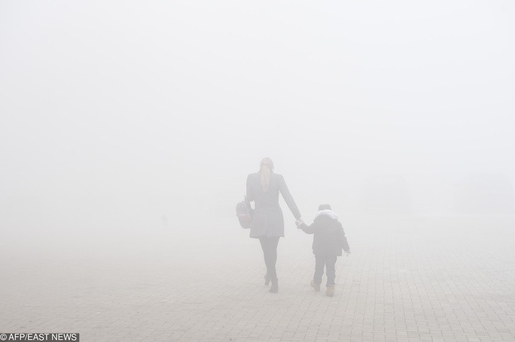 Ảnh: BrightSide Ảnh: BrightSide