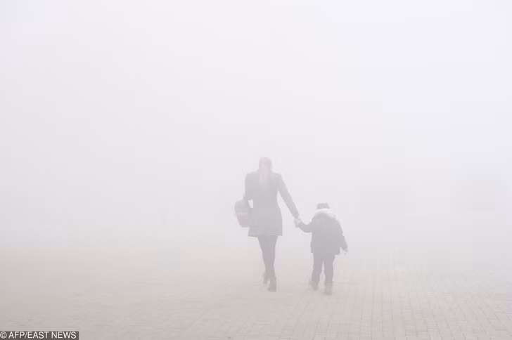 Ảnh: BrightSide Ảnh: BrightSide