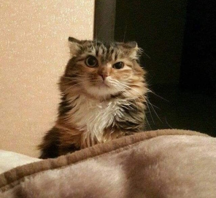 Ảnh: BrightSide Ảnh: BrightSide