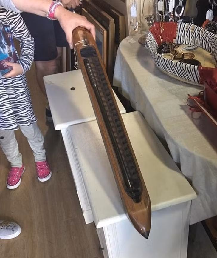 Ảnh: BrightSide Ảnh: BrightSide