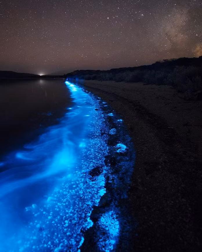 Ảnh: BrightSide Ảnh: BrightSide