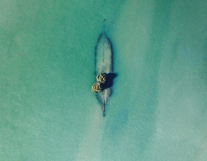 Ảnh: BrightSide Ảnh: BrightSide