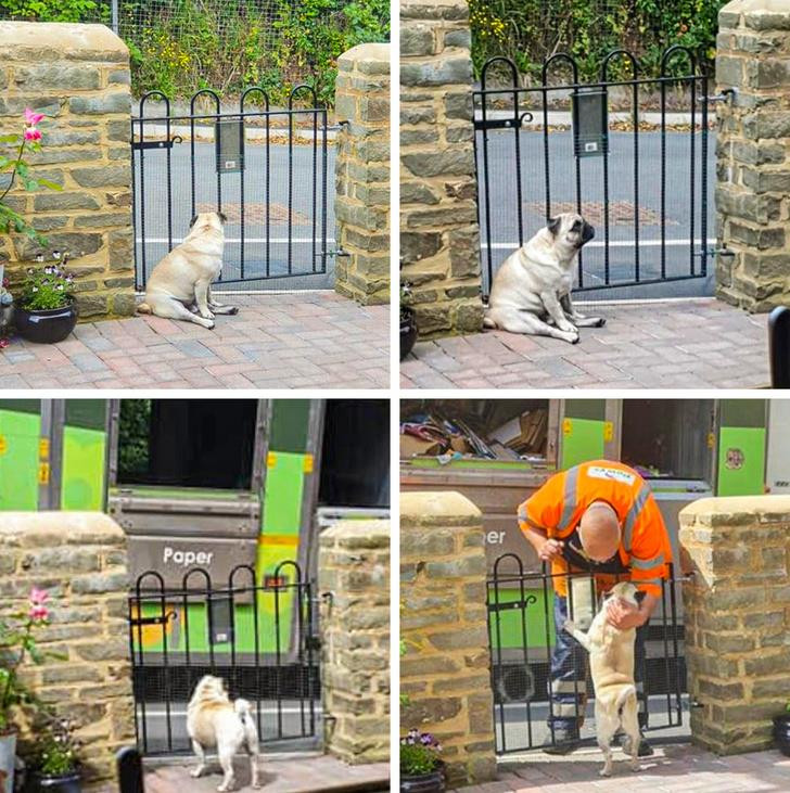 Ảnh: BrightSide Ảnh: BrightSide