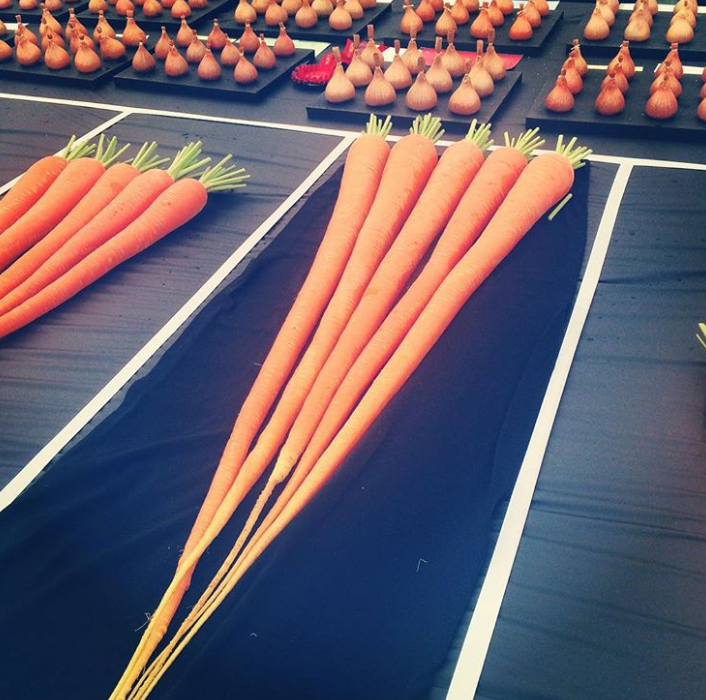 Ảnh: BrightSide Ảnh: BrightSide