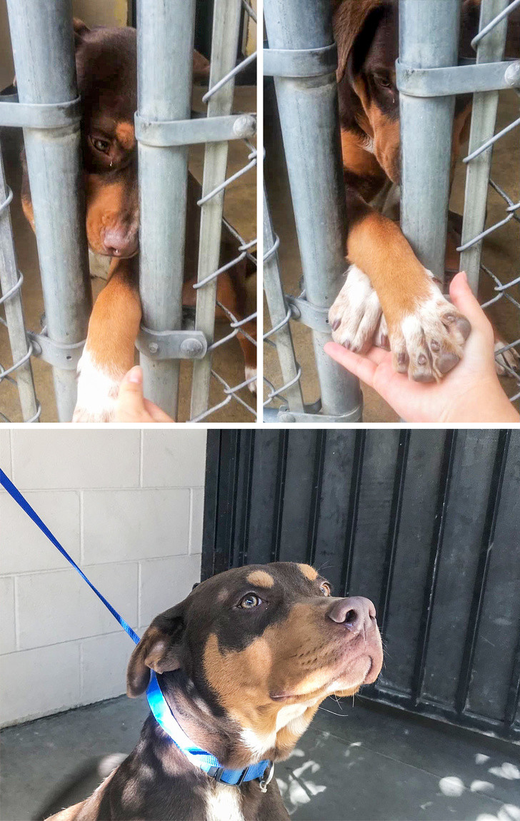 Ảnh: BrightSide Ảnh: BrightSide