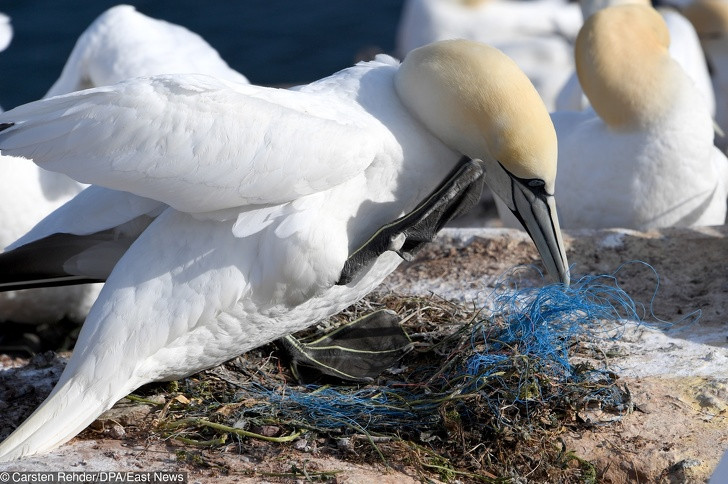 Ảnh: BrightSide Ảnh: BrightSide