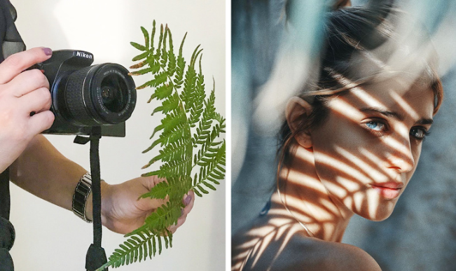 Ảnh: BrightSide Ảnh: BrightSide