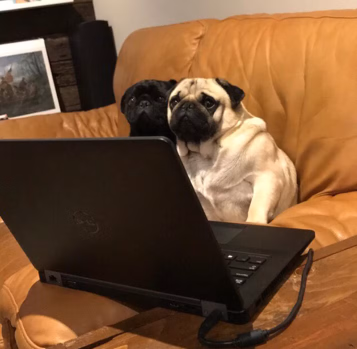 Ảnh: BrightSide Ảnh: BrightSide