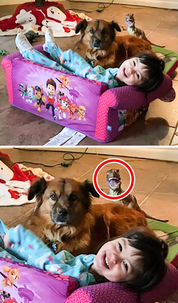 Ảnh: BrightSide Ảnh: BrightSide