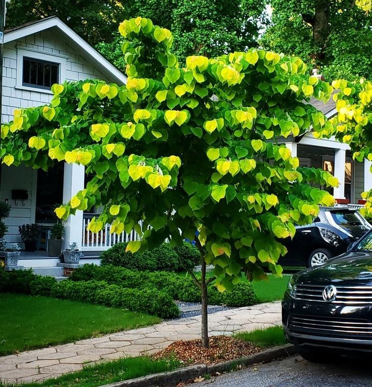 Ảnh: BrightSide Ảnh: BrightSide