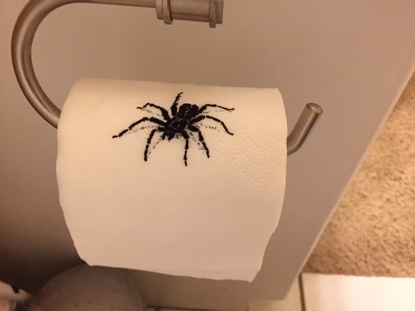 Ảnh: BrightSide Ảnh: BrightSide