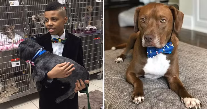 Ảnh: BrightSide Ảnh: BrightSide