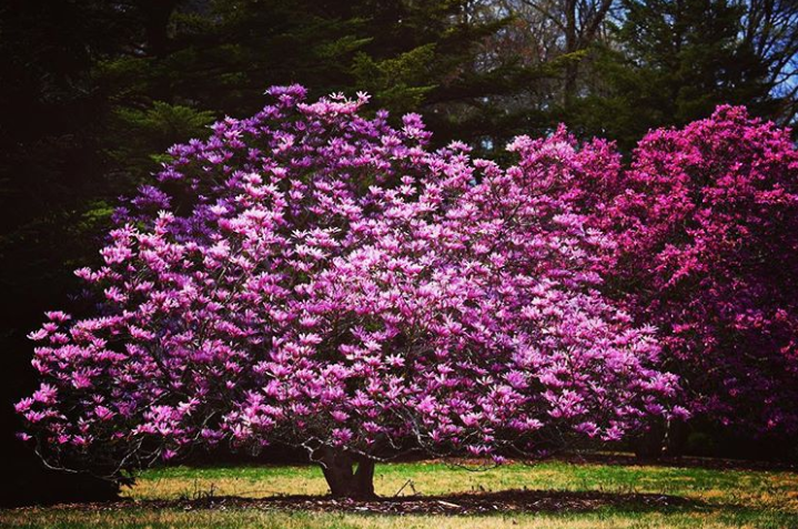 Ảnh: BrightSide Ảnh: BrightSide