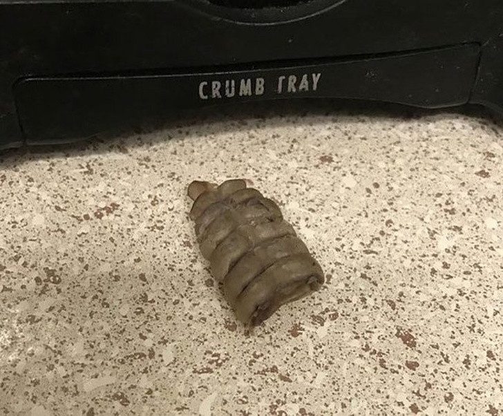 Ảnh: BrightSide Ảnh: BrightSide