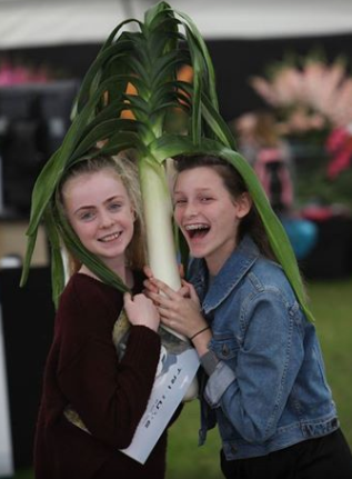 Ảnh: BrightSide Ảnh: BrightSide