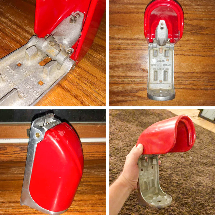 Ảnh: BrightSide Ảnh: BrightSide