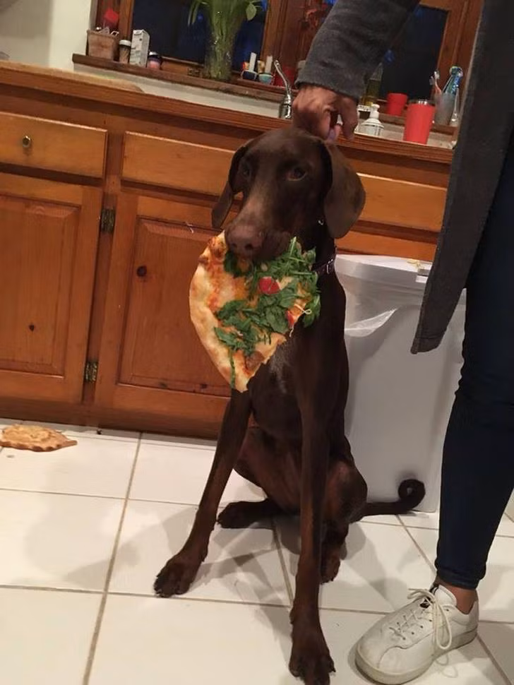 Ảnh: BrightSide Ảnh: BrightSide