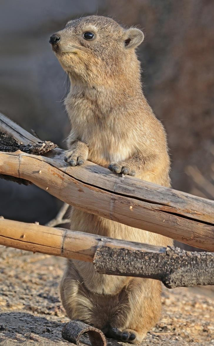 Ảnh: BrightSide Ảnh: BrightSide