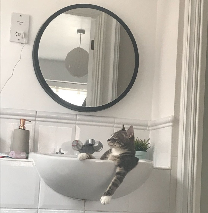 Ảnh: BrightSide Ảnh: BrightSide