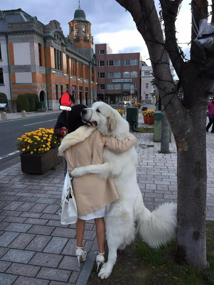 Ảnh: BrightSide Ảnh: BrightSide