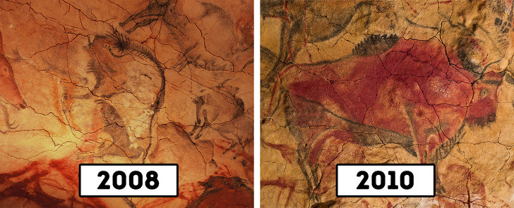 Ảnh: BrightSide Ảnh: BrightSide