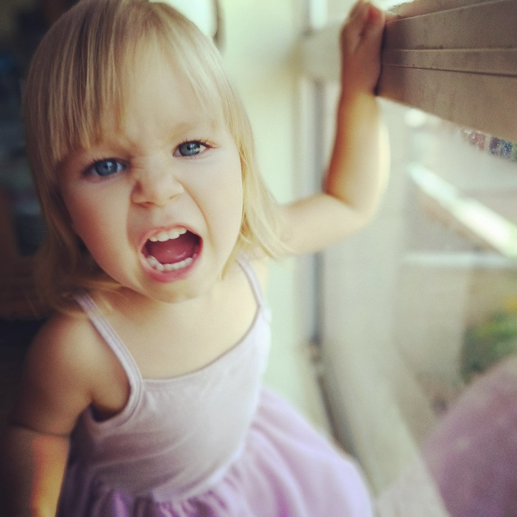 Ảnh: BrightSide Ảnh: BrightSide