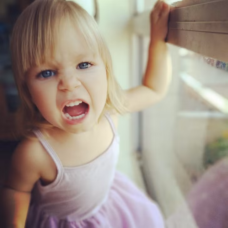 Ảnh: BrightSide Ảnh: BrightSide