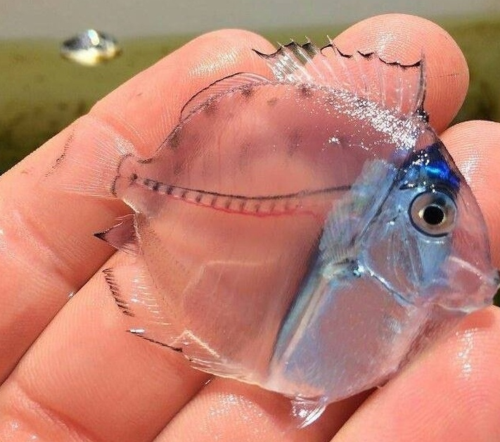 Ảnh: BrightSide Ảnh: BrightSide