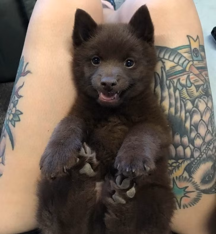 Ảnh: BrightSide Ảnh :BrightSide