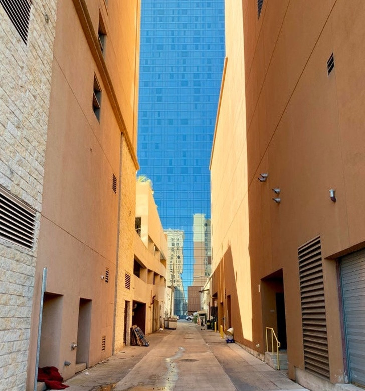 Ảnh: BrightSide Ảnh: BrightSide